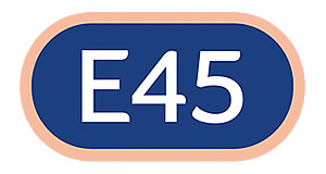 E45