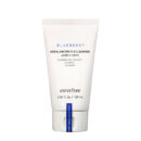Innisfree Blueberry Cleanser